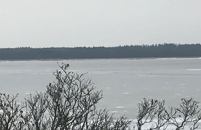 Strandsegård Ferielejligheder - Foto 51