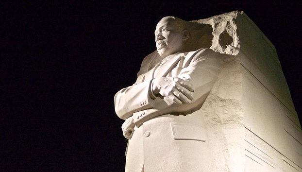 Travel Curious: The National Mall at Dusk - Private Evening Tour - Photo 3