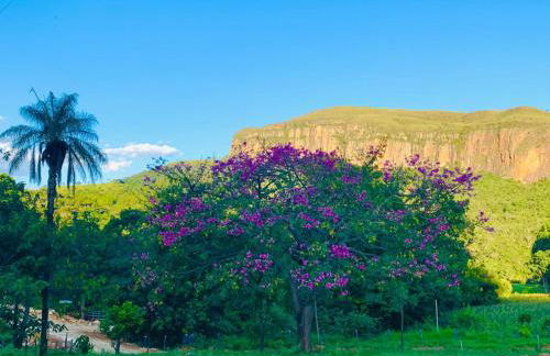 Chale Vale das Cachoeiras - Foto 46