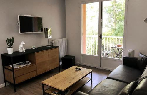 LE NID DE LA PIRAZ - Parking, Balcon & Netflix ! - Foto 8
