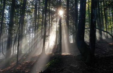 Baita dei Colori - Foto 19