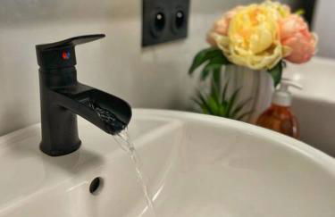 La Capucine - Lumineux avec balcon et parking - Foto 34