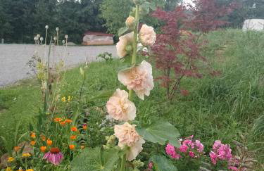 Domek nad Stawem Siemuszowa - Foto 22