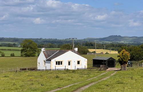 Williamsfield Cottage - Foto 39