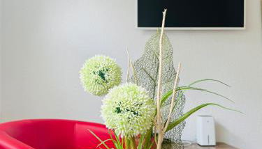 Sollstedt Ferienwohnung - Foto 4