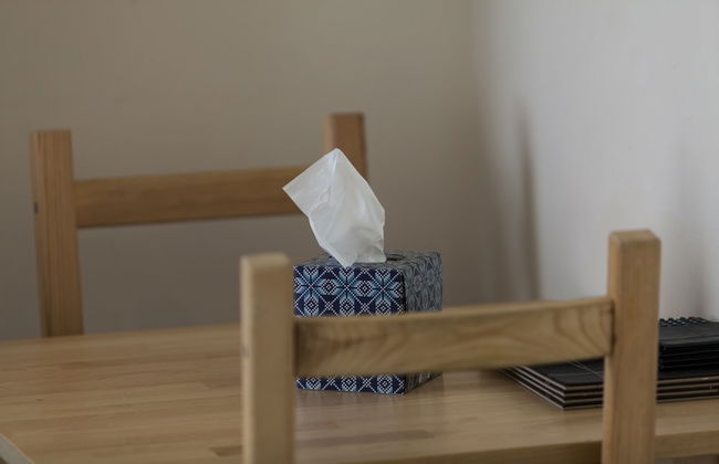 Dublin Vacation Rentals - Photo 30