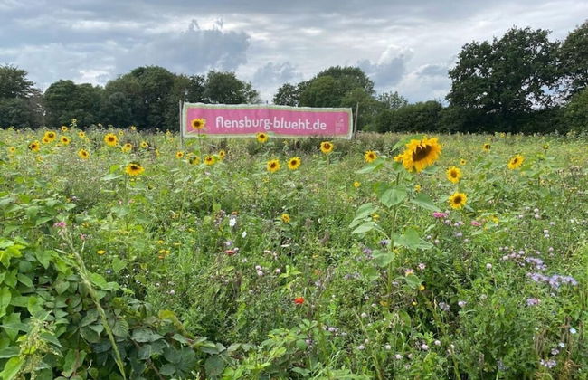 Holiday Apartment Engelsby Village - Foto 21