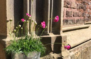 Das Ministerhaus - exklusives Apartment auf historischem Gutshof - Photo 35