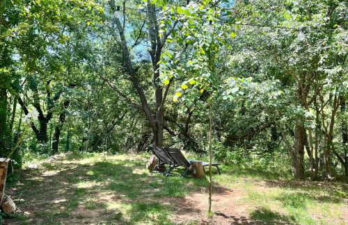 Appartement 2 chambres avec jardin - Foto 15