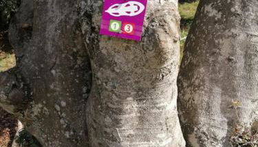 petit nid montagnard - Foto 5