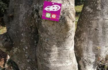 petit nid montagnard - Foto 5