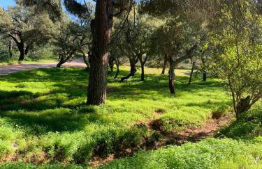 Monte Borboleta - Villas, Apartments - Foto 65