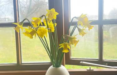 The Longhouse at Pencwm Escapes - Foto 13