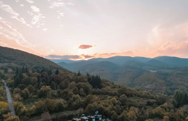 Horizons Bakurtsikhe - Photo 27