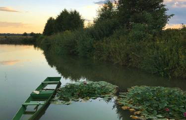 Sielanka Dąbrowa - Foto 18