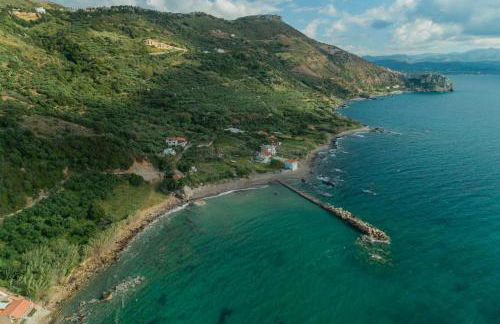 Sunset Traditional House - Foto 33