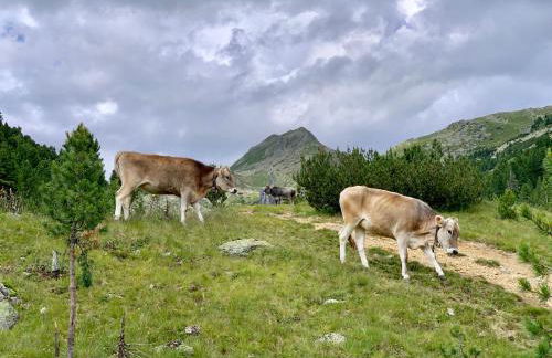 Apartment HaNiLe - Foto 62