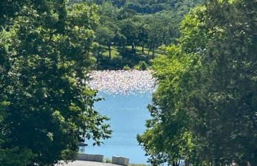 Rockwood Condos on Table Rock Lake With Boat Slips - Foto 3