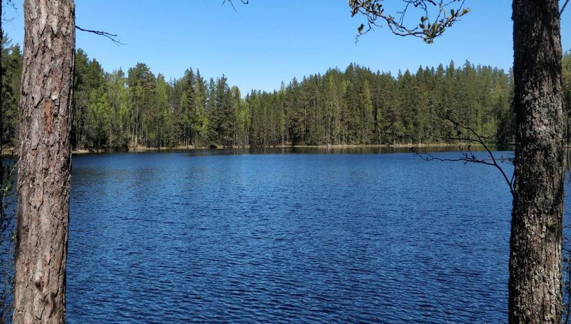 Excursión privada de día completo Go North - Foto 3