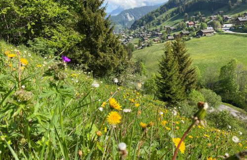 Appartement cosy au pied des pistes - Foto 20