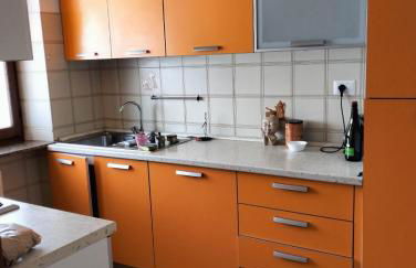 Casa dell'artista - Foto 2