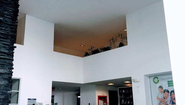 OLYMPUS APARTMENTS - Foto 2, Recepción