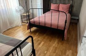 Parking privé - Jazz à Vienne 12 min - Gare - Balcon - Foto 3