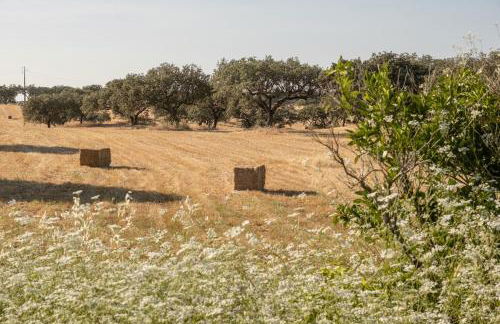 Casa da Ritinha - Praia Azenhas D El Rey - Foto 12