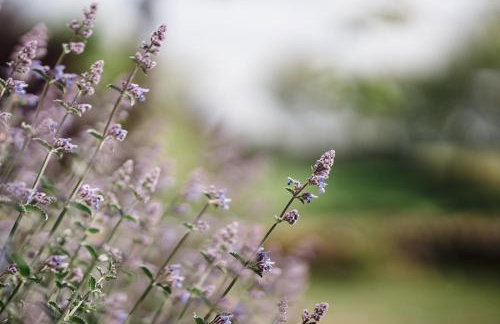 Rocking Stone Cottage - Foto 31