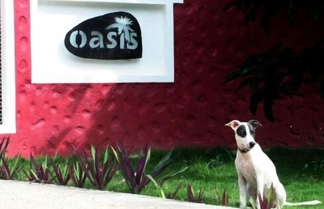 Oasis Hotel Las Terrenas - Foto 28