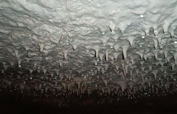 Meublé de tourisme Petit Chail Saint Savinien - Foto 23