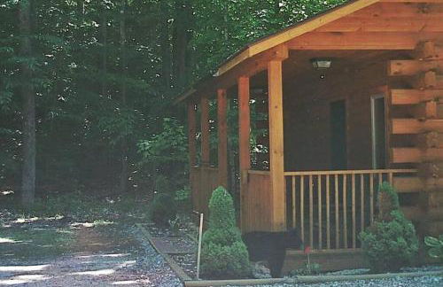 Couples Getaway Log Cabin in the White Mountains - Foto 20