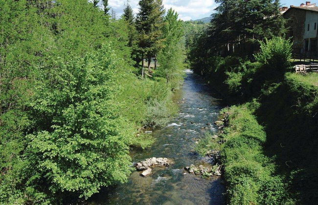 Baciola in Ortignano Raggiolo - Foto 34