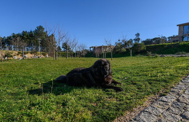 Laje da Bica Agroturismo - Foto 54