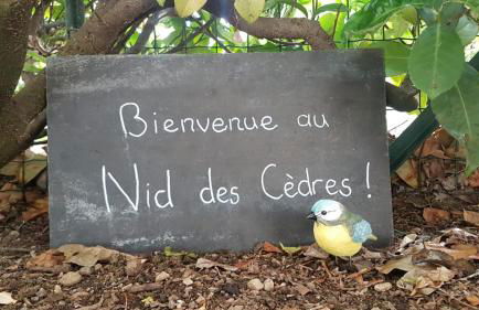 le Nid des Cèdres, voisin des Thermes et du centre - Foto 13