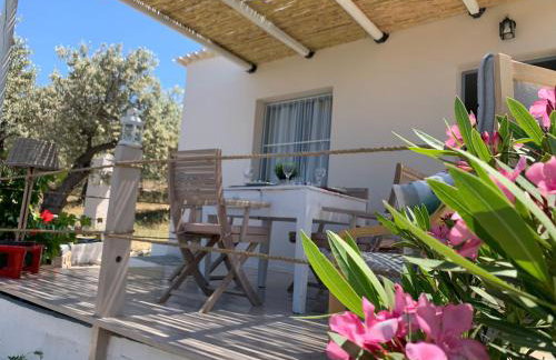 Olive Hill Private House - Foto 15