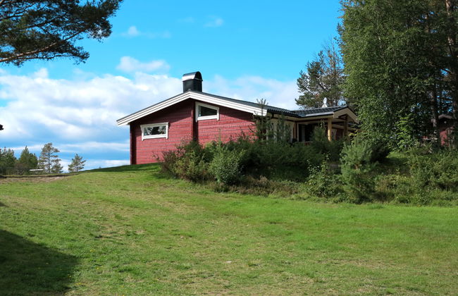 Kvisthån Idegranen - Photo 14