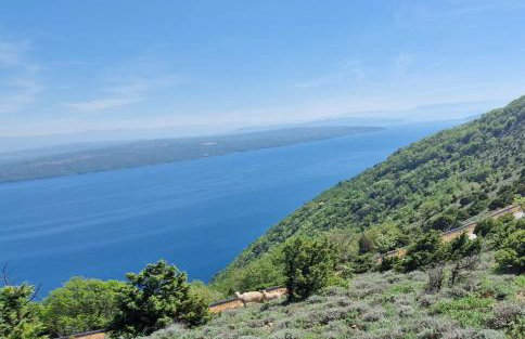 Stone House Rosuja - Foto 61