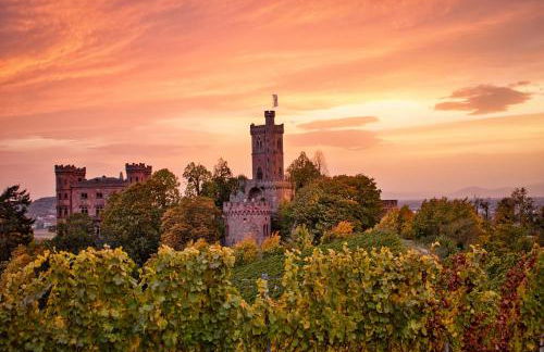 Ferienwohnung Ortenau - Foto 19