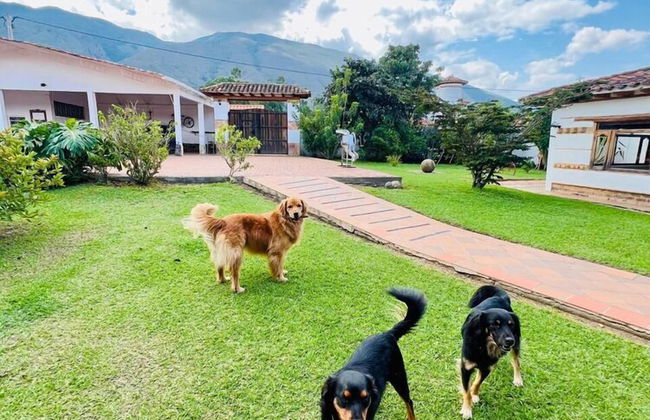 Hacienda oasis de la villa - Photo 13