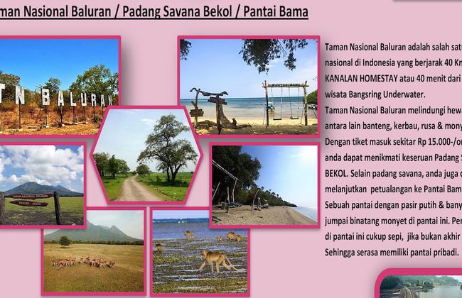 Kanalan Homestay - Photo 70