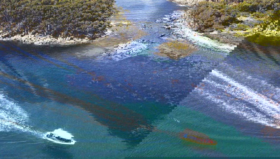 Escursione all'isola Bruny con giro in barca