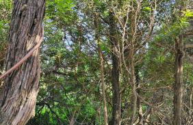 Acquamarina House by the sea - Foto 46