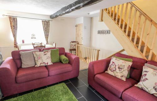 Plas Arenig - Foto 9