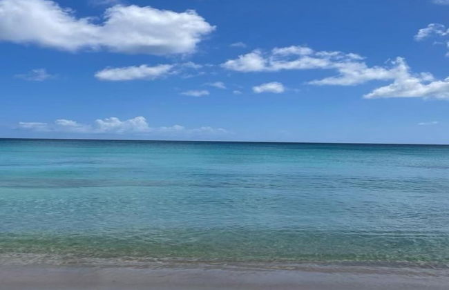 Villa Francoise - 4 Bedroom Beachfront w Pool - Foto 5