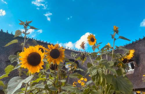 Bernstorfshof - Foto 6