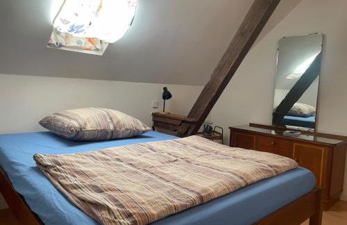 Ferienwohnungen am Gräbendorfer See in Göritz bei Casel - Foto 15