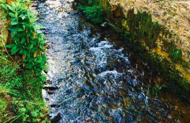 New for 2021 Welcome to Violet Cottage - Foto 15