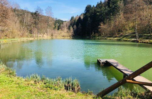 2 Zi Ferienwohnung mit schöner Aussicht und mit Balkon bis zu 5 Personen in Loßburg, Schwarzwald - Foto 17