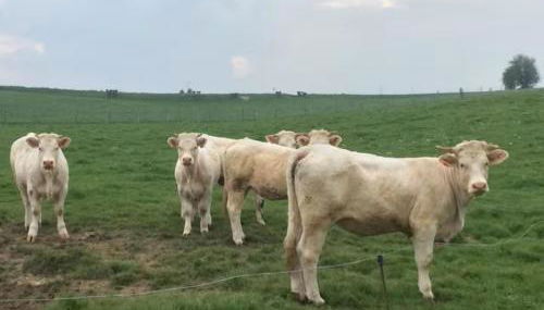 Charmante maison au calme proche de la mer - Foto 4